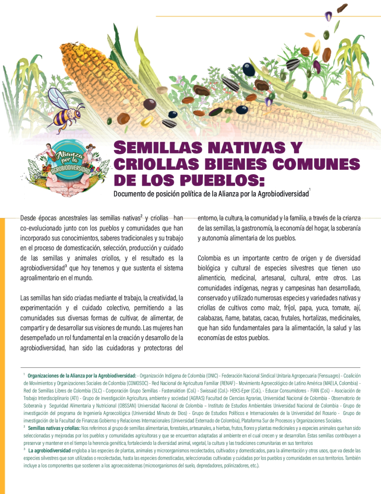 Gráfica alusiva a Semillas Nativas y Criollas Bienes Comunes de los Pueblos: Documento de Posición política de la Alianza por la Agrobiodiversidad