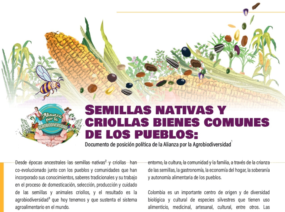 Gráfica alusiva a Semillas Nativas y Criollas Bienes Comunes de los Pueblos: Documento de Posición política de la Alianza por la Agrobiodiversidad