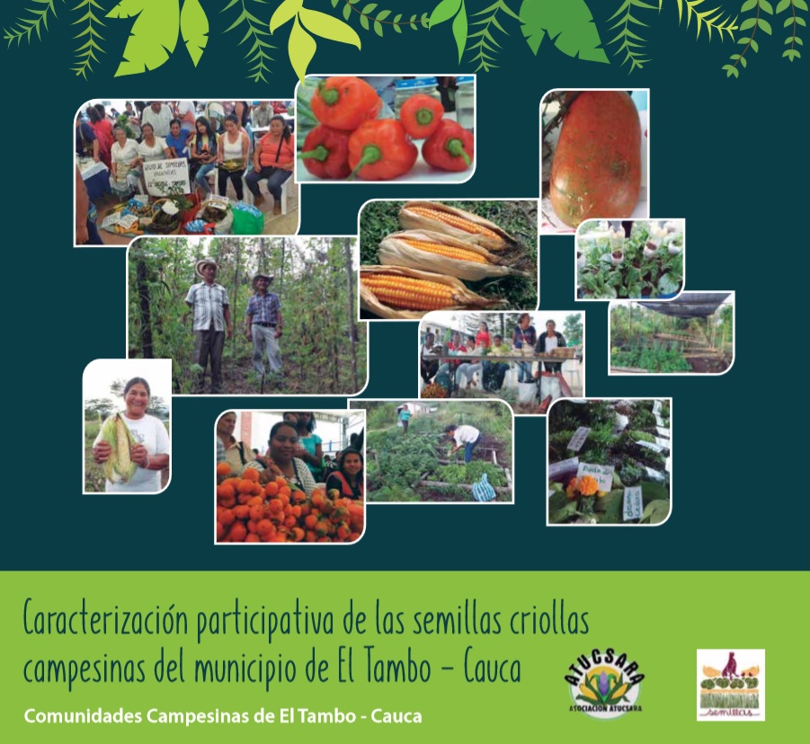 Grafica alusiva a Caracterización participativa de las semillas criollas campesinas del municipio de El Tambo - Cauca