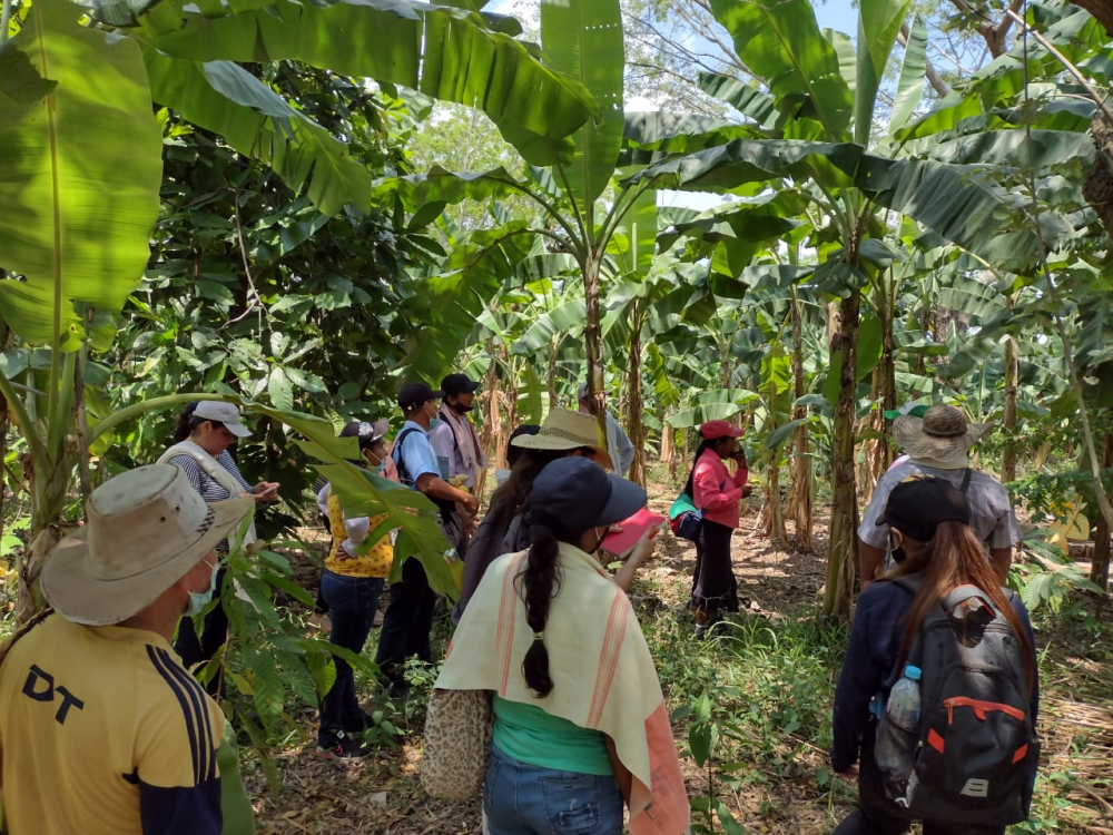 Gráfica alusiva a APORTES DE LA AGROBIODIVERSIDAD A LA SUSTENTABILIDAD  DE LA AGRICULTURA FAMILIAR EN COLOMBIA