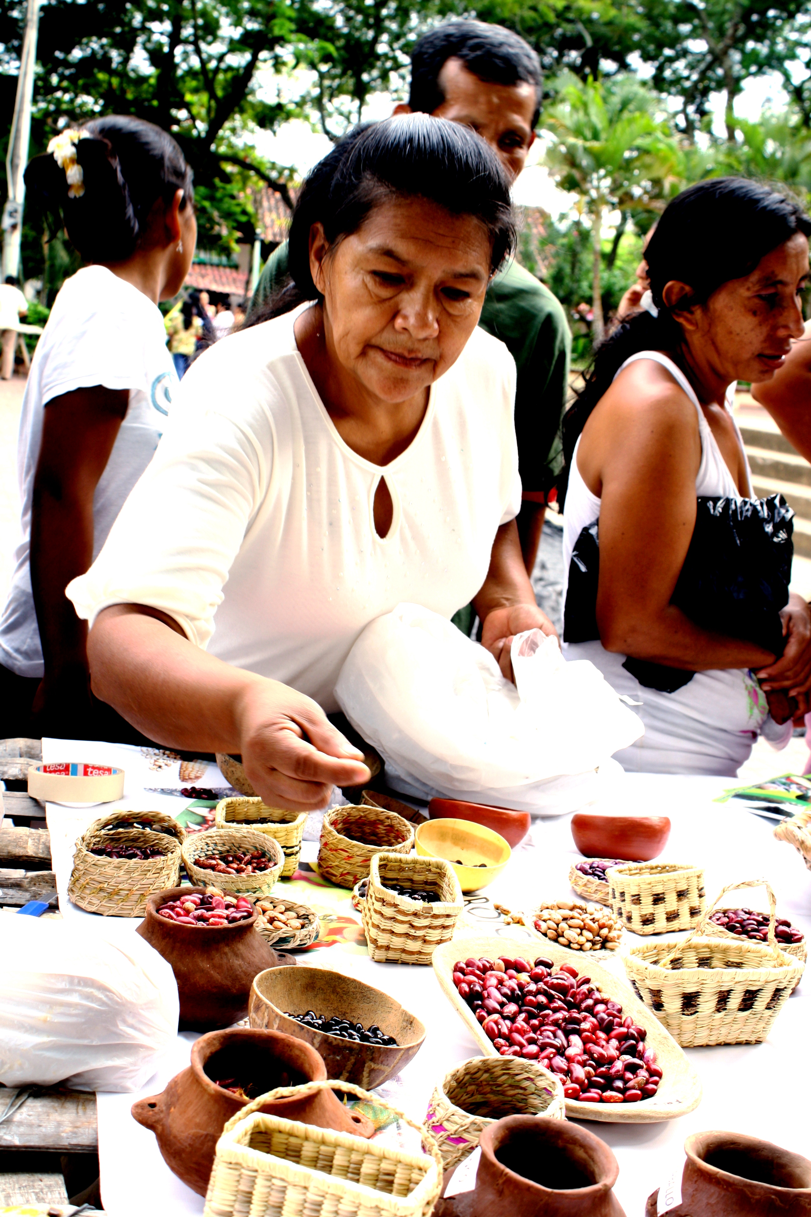 Grafica alusiva a La agroecología como respuesta a las potencialidades y retos de la agricultura indígena y campesina en el Distrito de Riego el Triángulo del Sur del Tolima