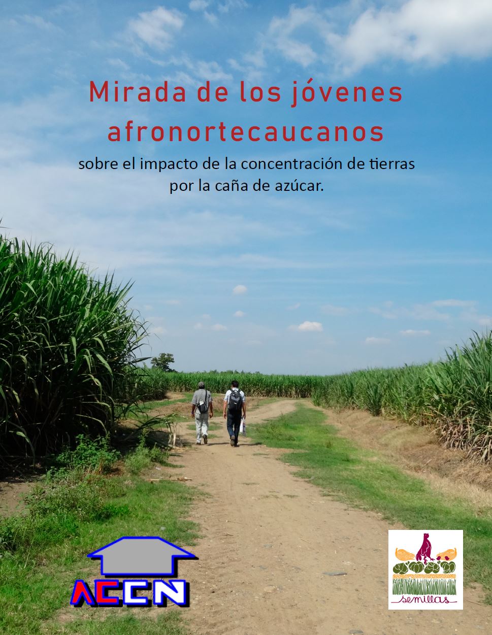 Gráfica alusiva a Mirada de los jóvenes afronortecaucanos sobre el impacto de la concentración de tierras por la caña de azúcar.