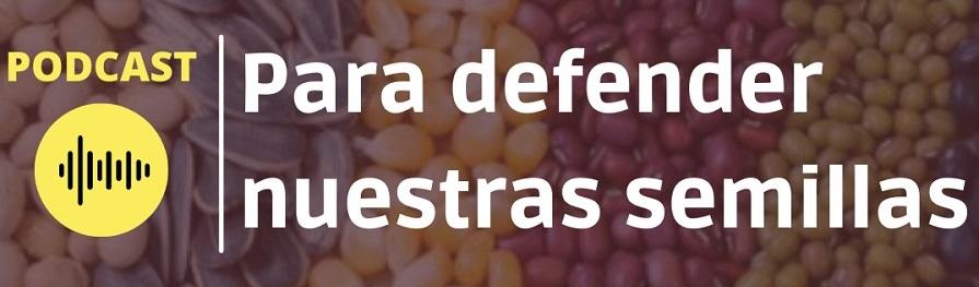 Gráfica alusiva a #Podcast | Para defender nuestras semillas Por Alianza Biodiversidad y Colectivo de Semillas de América Latina País América Latina y El Caribe
