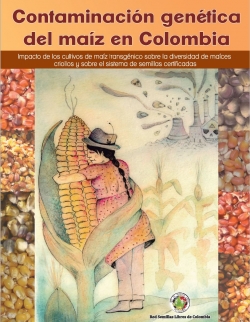 Grafica alusiva a Contaminación genética del maíz en Colombia. Impacto del maíz transgénico sobre los maíces criollos y el sistema de semillas certificadas