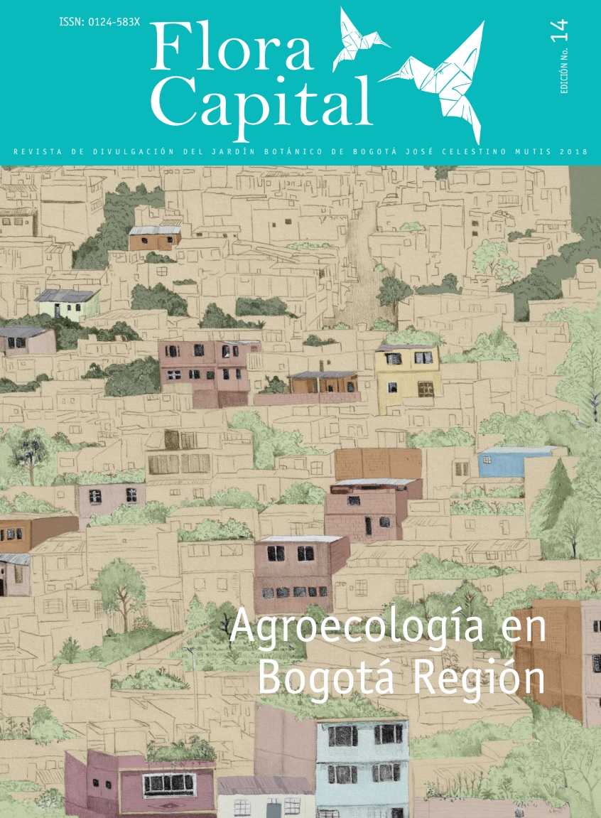 Gráfica alusiva a Revista Flora Capital No. 14