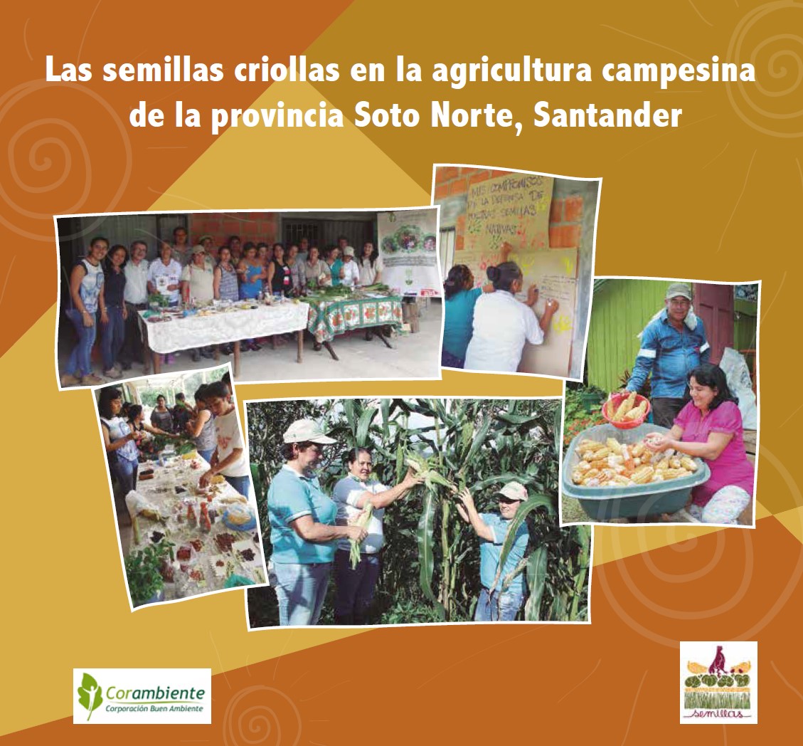 Gráfica alusiva a Las semillas criollas en la agricultura campesina de la provincia Soto Norte, Santander