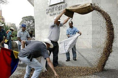 Grafica alusiva a Congelan norma 970 sobre el uso de semillas no certificadas