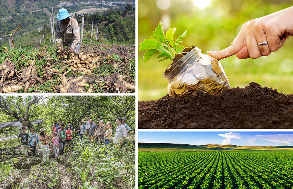 Grafica alusiva a Proyecto de Ley de Innovación Agropecuaria, en el marco de la implementación del Acuerdo de Paz