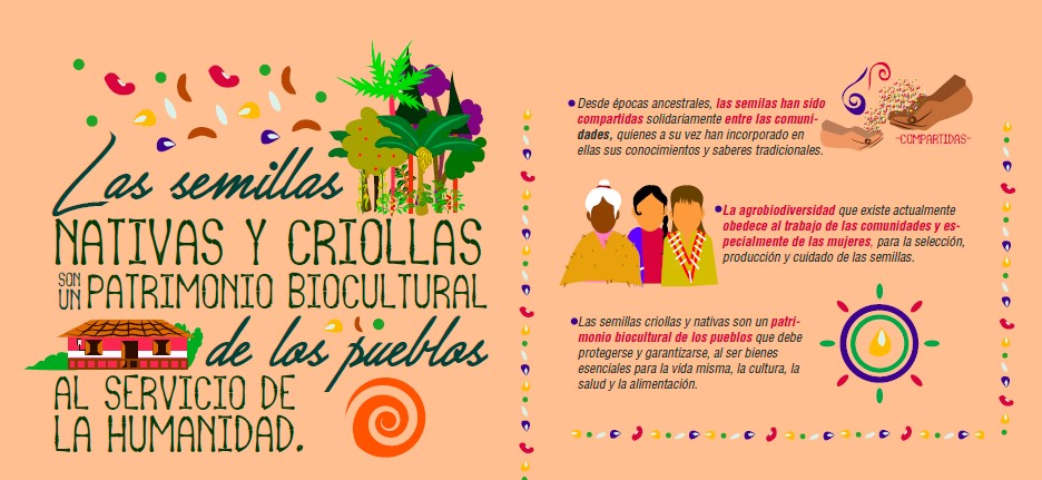 Gráfica alusiva a Infografía: Las semillas nativas y criollas son un patrimonio biocultural de los pueblos al servicio de la humanidad