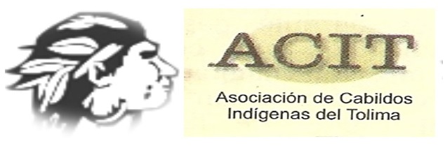 Gráfica alusiva a Declaración del Congreso de la Asociación de Cabildos Indígenas del Tolima, ACIT.