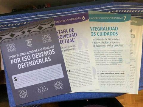 Grafica alusiva a Presentación Cuadernos de Biodiversidad  #7 y 8