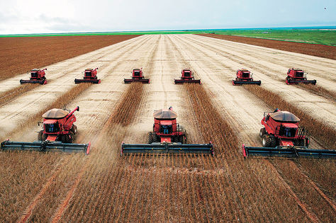 Gráfica alusiva a Transgénicos en Brasil: Diez años de promesas incumplidas