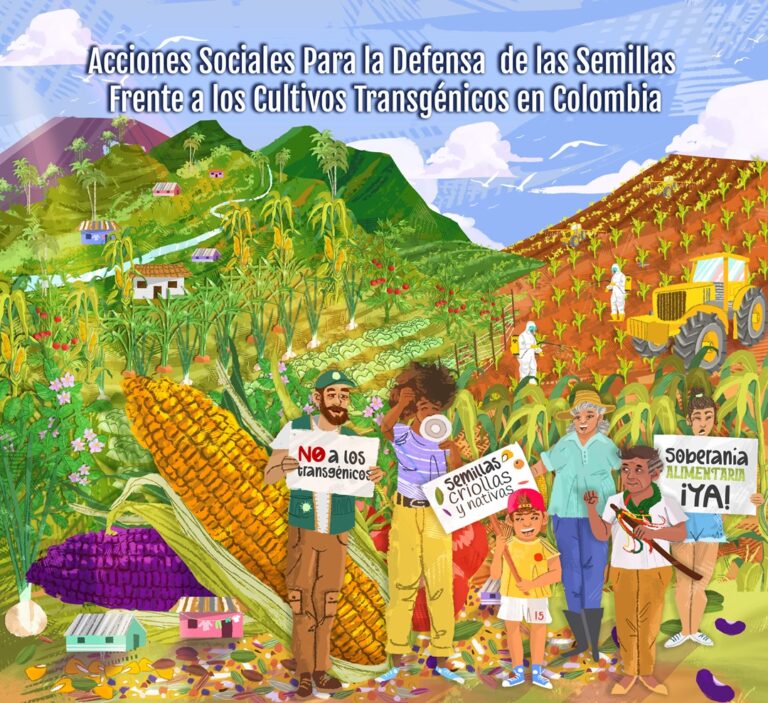 Acciones sociales para la defensa de las semillas, frente a los cultivos transgénicos en Colombia