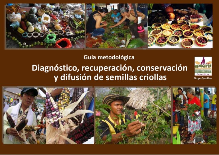 Guía metodológica: Diagnóstico, recuperación, conservación y difusión de semillas criollas